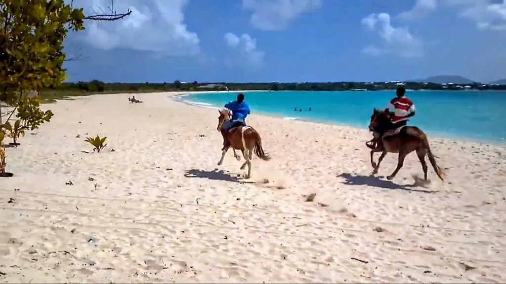 White Sands Anguilla - Sea Blowing Point Village 0*,